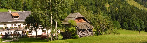 Pferdeeinstellungsvertrag: Muster und Vorlage