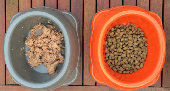 Bild 1: Trockenfutter vs. Nassfutter