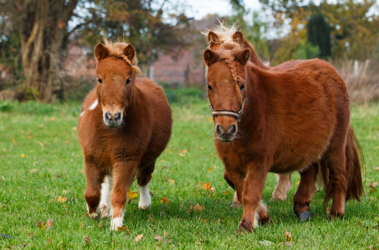 was ist squirten hochwertige pornos was ist squirten hochwertige pornos