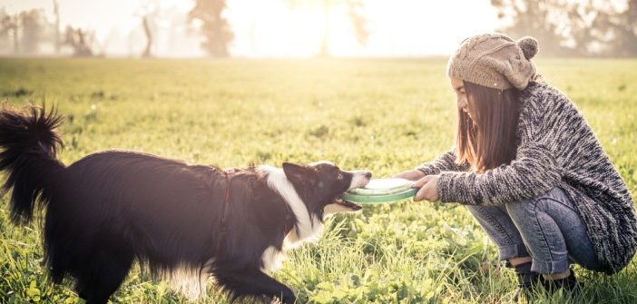 Abwechslung für den besten Freund des Menschen 5 Spielzeuge für den Hund