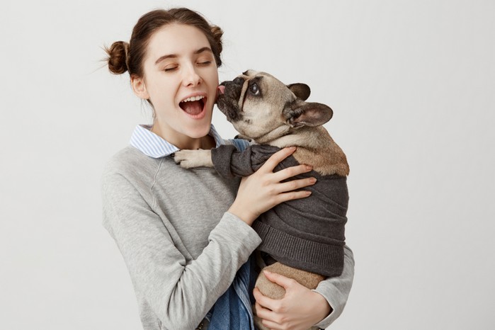 Die Geschichte der Französischen Bulldogge beginnt in England - was man ihr heute nicht mehr ansieht, oder? (Foto: shutterstock - Cookie Studio)