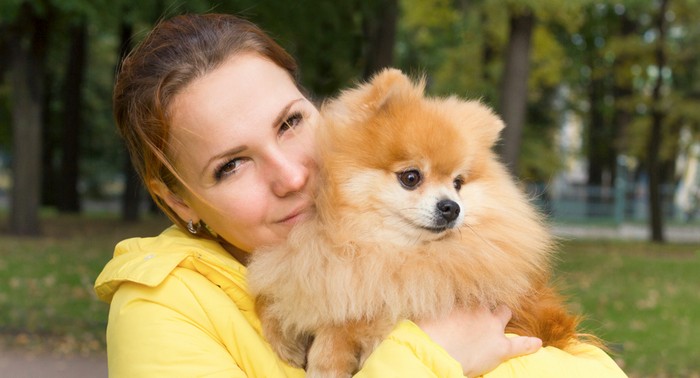 Die Erziehung des Pomeranian ist zum einen unverzichtbar, aber zum anderen auch eine reine Freude. (Foto: shutterstock - EugeneEdge)