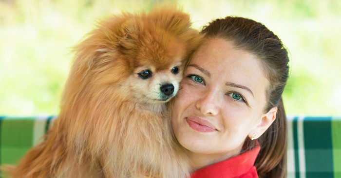 Der Pomeranian passt zu mir, wenn... (Foto: shutterstock - ElenaYakimova)