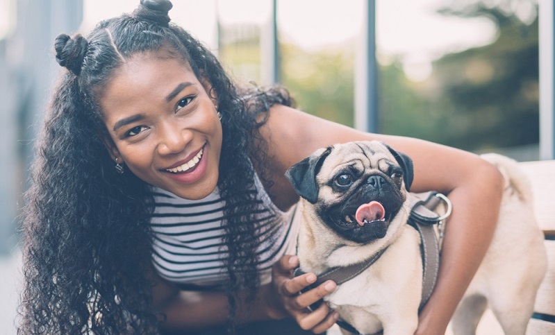 Das Gute vorweg, der Mops passt sich den Bewegungsgewohnheiten seines Menschen an. Wenn man gern und viel spazieren geht, begleitet der Mops einen sehr gern. ( Foto: Shutterstock- Iryna Inshyna )