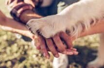 Familienhund: Diese passen am besten zu Familie und Kindern (Foto: shutterstock.com / 4 PM production)