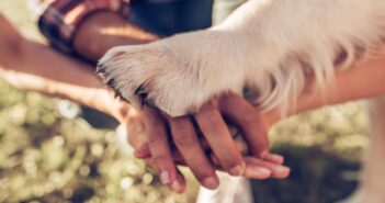 Familienhund: Diese passen am besten zu Familie und Kindern (Foto: shutterstock.com / 4 PM production)