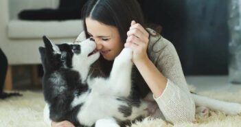 Coole Hundenamen: 30 einfallsreiche Hundenamen für coole Hunde ( Foto: Shutterstock-Nina Buday_)