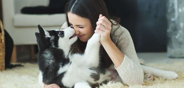 Coole Hundenamen: 30 einfallsreiche Hundenamen für coole Hunde ( Foto: Shutterstock-Nina Buday_)