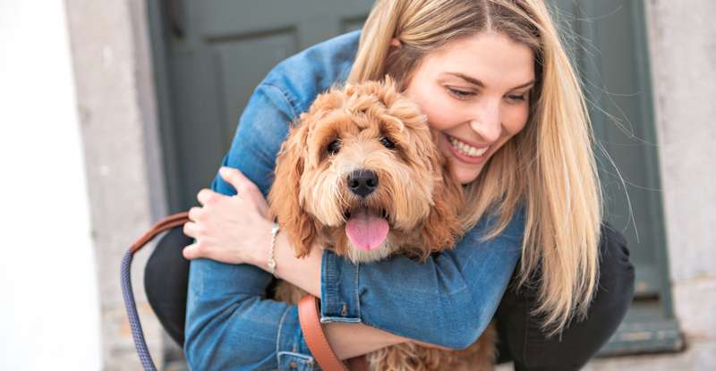  Hunde sind die besten Freunde des Menschen und erfüllen jeden mit ihrer Niedlichkeit (Foto:  Shutterstock  Lopolo)