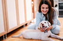 Optimaler Tagesablauf Welpe (Foto: Adobe Stock-bnenin)