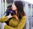 Welpen aus dem Tierschutz: Wichtige Infos (Foto: Adobe Stock- hedgehog94)