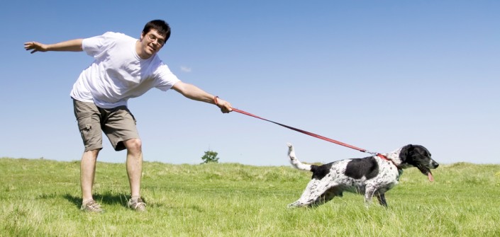 Leinenführigkeit: Hilfe mein Hund zieht der Leine