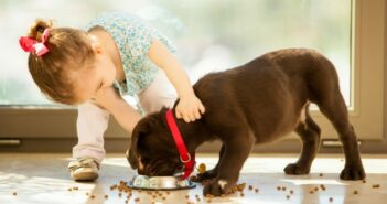 Getreidefreies Hundefutter: Wie es die Gesundheit des Hundes unterstützt