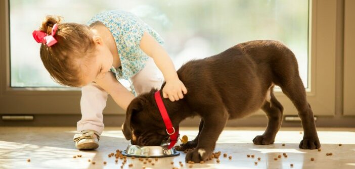 Getreidefreies Hundefutter: Wie es die Gesundheit des Hundes unterstützt