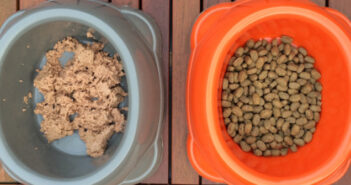 Hundefutter Test: Trockenfutter vs. Nassfutter