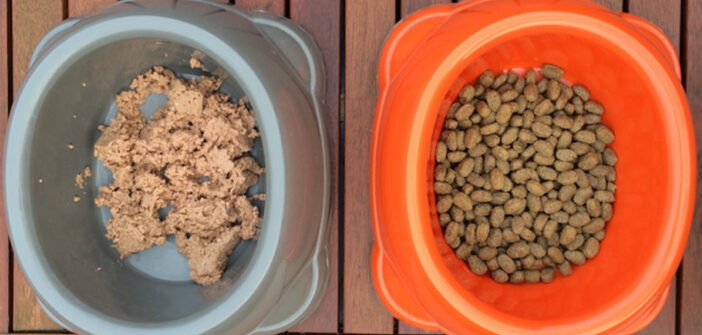 Hundefutter Test: Trockenfutter vs. Nassfutter