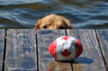 Mit dem Hund durch Kanada: im Holiday-Home-Car von Edmund Kunke