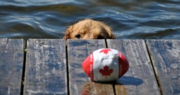 Mit dem Hund durch Kanada: im Holiday-Home-Car von Edmund Kunke