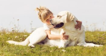 Labrador Retriever: Geduldiger, ausgeglichener Jagdhund und Familienhund