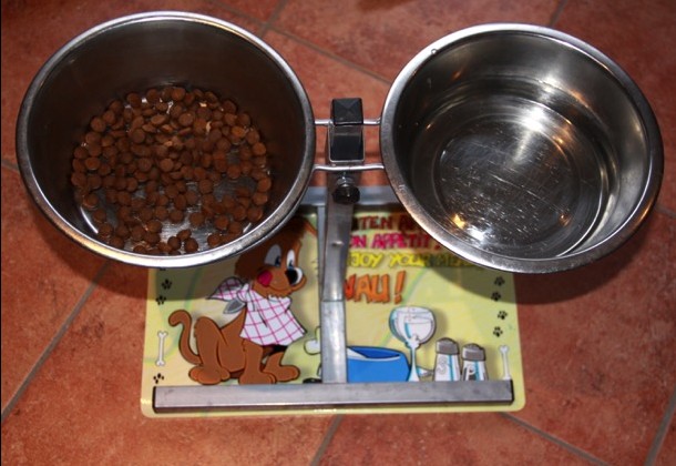Bild 2: Höhenverstellbare Futterständer mit Edelstahlnäpfen. Futter und frisches Wasser steht dem Hund gleichzeitig zur Verfügung.