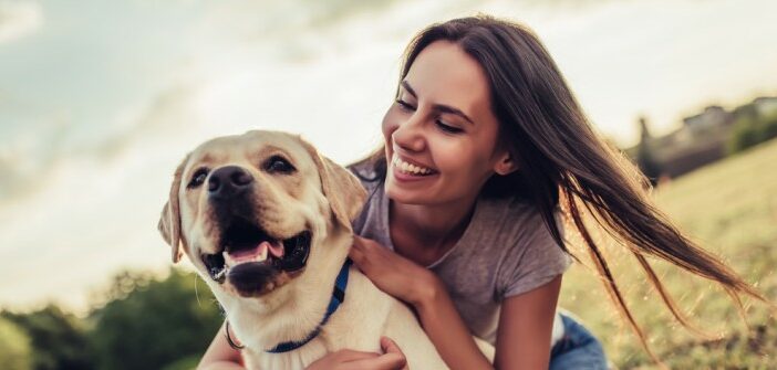 Labrador: dem Familienhund auf den Zahn gefühlt