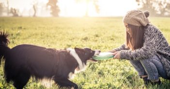 Abwechslung für den besten Freund des Menschen: 5 Spielzeuge für den Hund