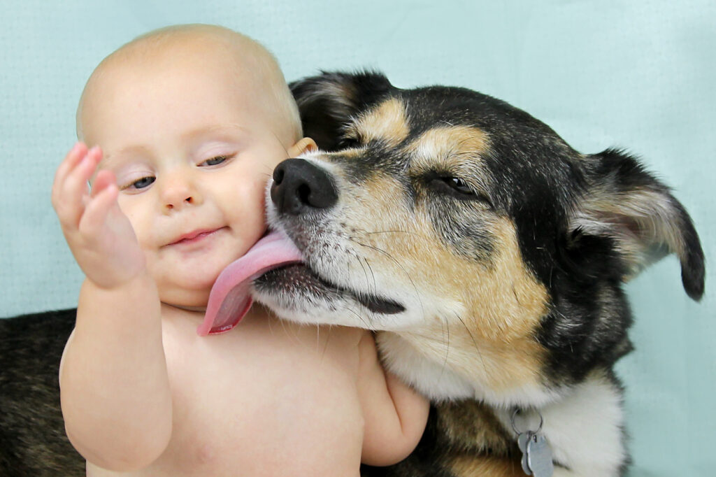 Warum lecken Hunde uns nur so gern das Gesicht ab?