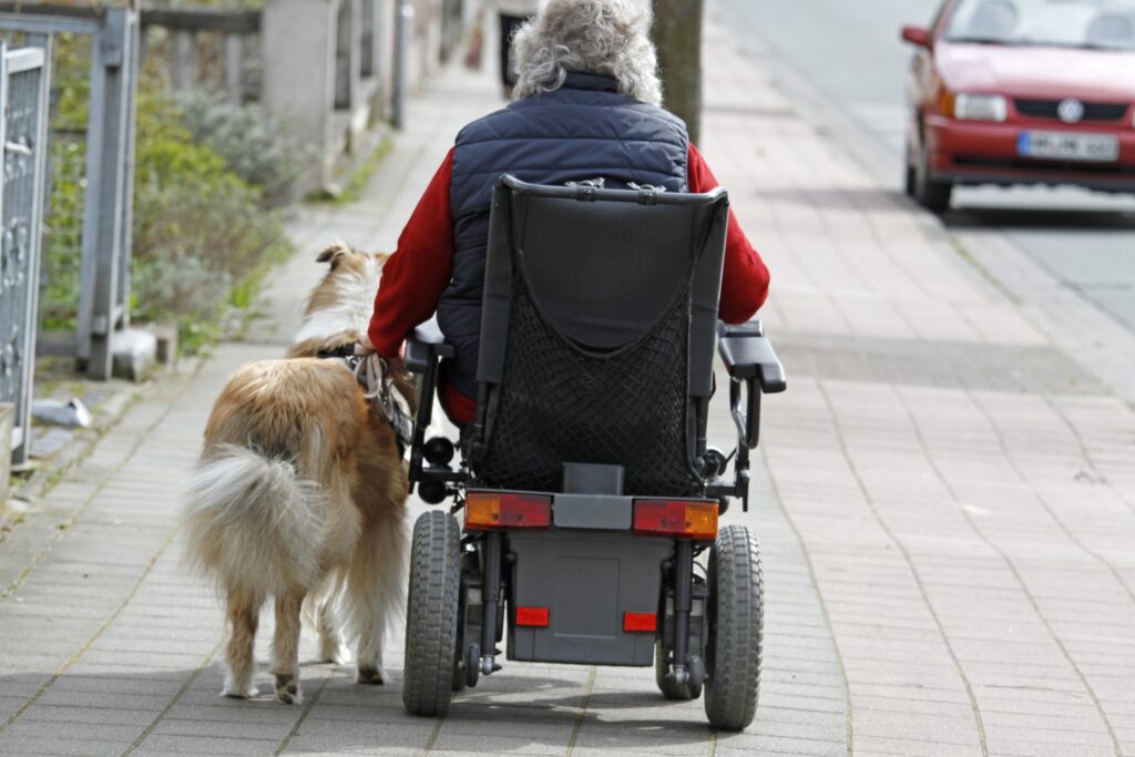 Ältere gehbehinderte Menschen und ein leinenführiger Hund, eine tolle und wertvolle Kombination