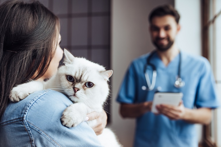 Der Besuch beim Tierarzt ist wichtig. Damit es hier nicht zu bösen Überraschungen kommt, sollte der flauschige Mitbewohner krankenversichert sein. (Foto: shutterstock.com / 4 PM production)