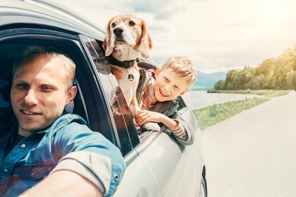 Wie viel Bewegung braucht ein Hund?