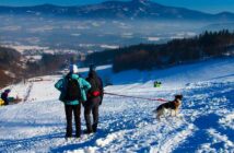 Skiurlaub im Allgäu: mit Hund überhaupt möglich? ( Foto: Shutterstock- P.Brunclik )
