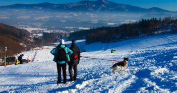 Skiurlaub im Allgäu: mit Hund überhaupt möglich? ( Foto: Shutterstock- P.Brunclik )