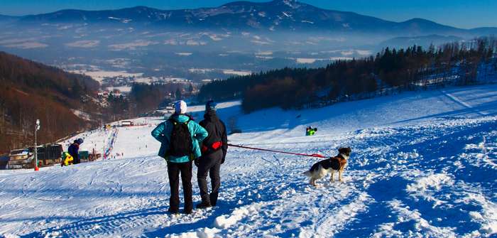 Skiurlaub im Allgäu: mit Hund überhaupt möglich? ( Foto: Shutterstock- P.Brunclik )