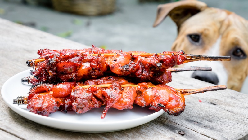 Die Unverträglichkeit der Gewürze ist nicht die einzige Gefahr, die den Hund erwartet, wenn die Halter nachgeben und ihm doch Fleisch nach unten reichen. Liegt beispielsweise Schweinefleisch auf dem Grill, dann lauert hier noch eine ganz andere Gefahr beim Grillen mit Hund. (#01)