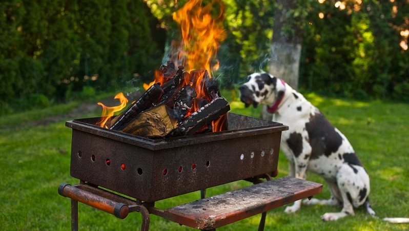 Neben den Gefahren, die beim Grillen mit Hund vom Grillgut ausgehen, sollten Hundebesitzer andere Punkte nicht vergessen. Wer mit einem klassischen Holzkohlegrill arbeitet, der muss ganz besonders aufpassen.