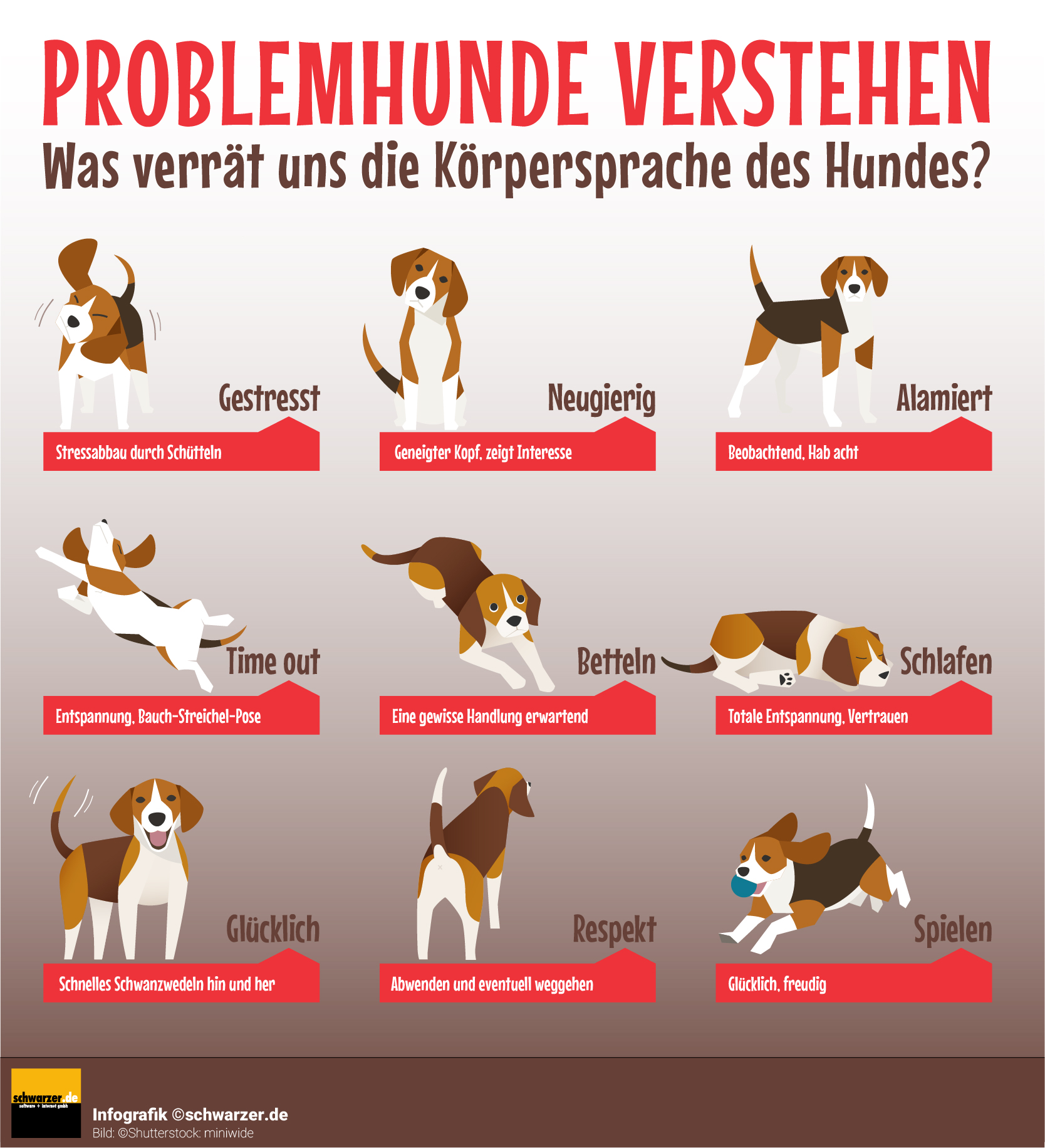 Problemhund: Letzter Ausweg