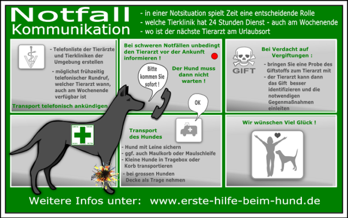 hund hechelt und trinkt viel