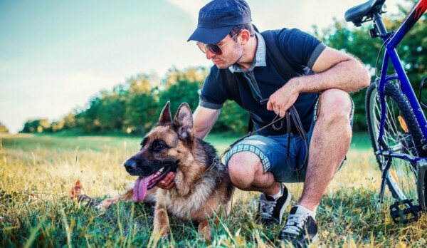 Hund schlapp & lustlos Die häufigsten Ursachen!