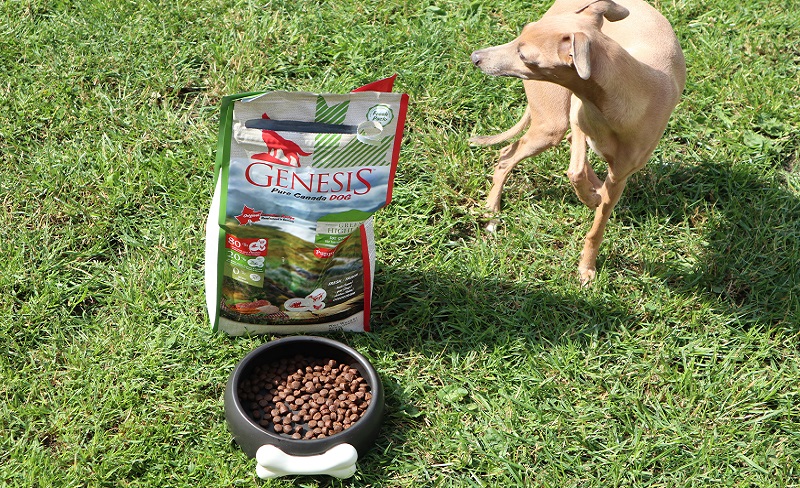 GENESIS Pure Canada GREEN HIGHLAND vs. PLATINUM Natural Pet Food & Care PUPPY CHICKEN Erfahrungen: Zwei Welpenfutter im Test