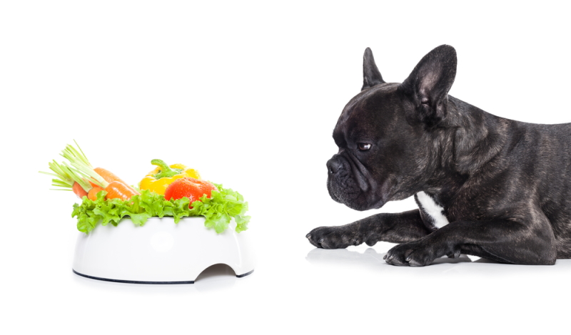 Franzosische Bulldogge Futter Gewichtstabelle