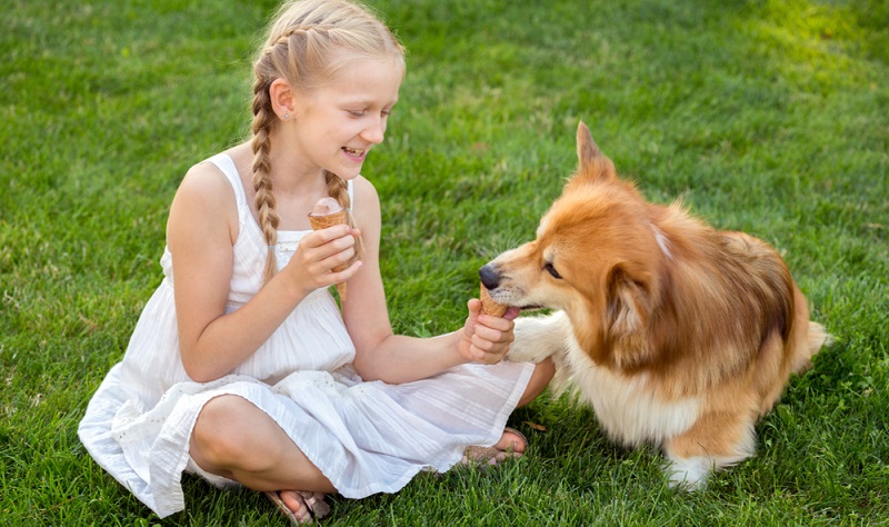Die Lust auf eine Abkühlung bei brütender Hitze teilen Hunde mit ihren menschlichen Freunden. ( Foto: Shutterstock- Mostovyi Sergii Igorevich )