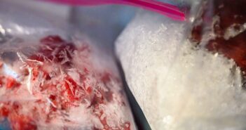 Gefrierbrand: Warum BARF-Fleisch nicht wieder eingefroren werden sollte ( Foto: Shutterstock- Lost_in_the_Midwest_)