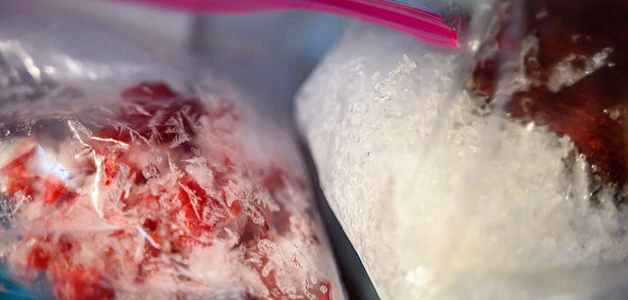 Gefrierbrand: Warum BARF-Fleisch nicht wieder eingefroren werden sollte ( Foto: Shutterstock- Lost_in_the_Midwest_)