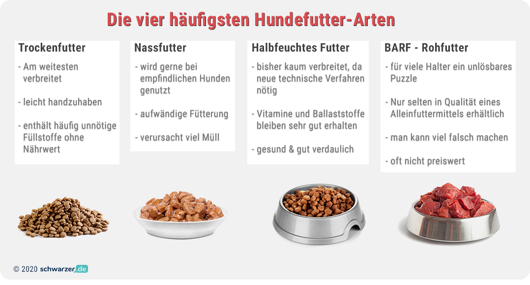 Infografik: Futterarten für Hunde im Vergleich