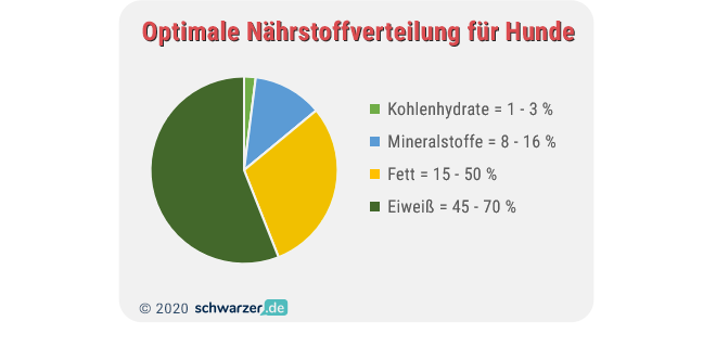 Infografik: Optimale Nährstoff-Verteilung für Hunde