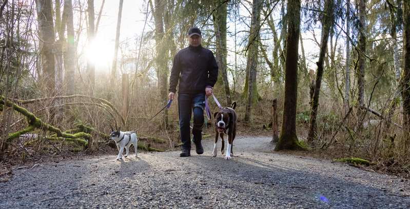 Manche Ausländer können auch eine eTA beantragen und brauchen dann kein Visum, sie kommen mit einem Besucher-Visum ins Land. ( Lizenzdoku: Shutterstock- EB Adventure Photography _)