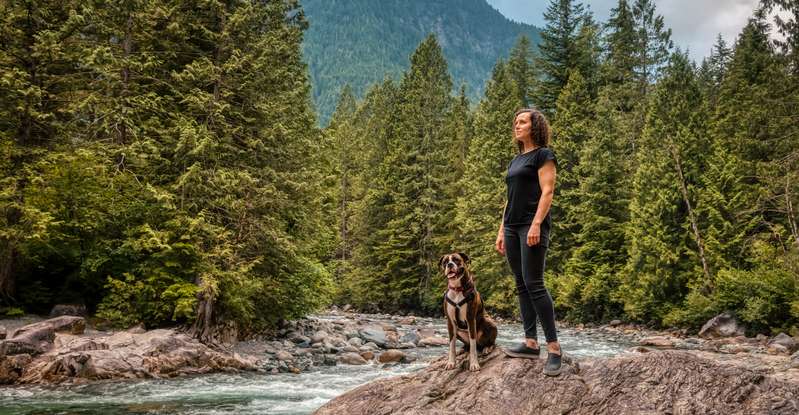 Mit dem Hund in Urlaub zu fahren ist schon hier in Deutschland nicht einfach. Aber mit dem Hund durch Kanada? Geht das? ( Lizenzdoku: Shutterstock-EB Adventure Photography )