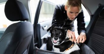 Hund im Auto transportieren: So muss ich Hund und Katze im Auto sichern (Foto: Shutterstock- Andrey_Popov )