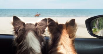 Ferienhaus mit Hund: Hier sind Familien mit Haustieren willkommen (Foto: shutterstock.com / ketteimages)