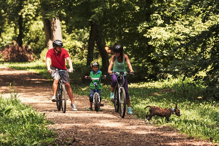 Mit der Familie im Wald kann sich der Vierbeiner richtig auspowern. (Foto: shutterstock.com / Microgen)